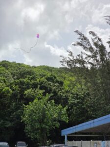 WhatsApp Image 2025-09-13 at 17.42.56 (1)