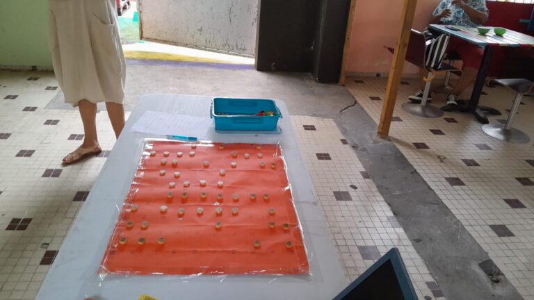 WhatsApp Image 2025-09-13 at 17.48.19 (4)