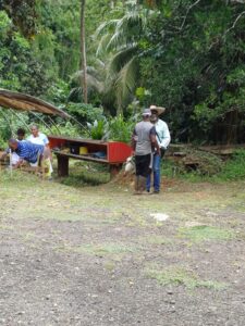 WhatsApp Image 2025-09-13 at 17.50.21