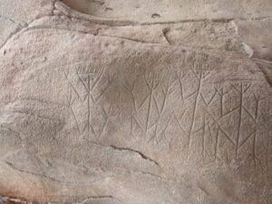 WhatsApp Image 2025-09-27 at 21.17.59 (1)