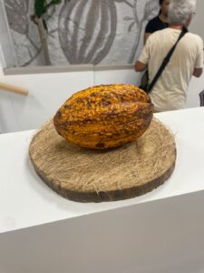 musee-cacao09.58.52 (5)