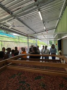 musee-cacao10.01.18 (1)