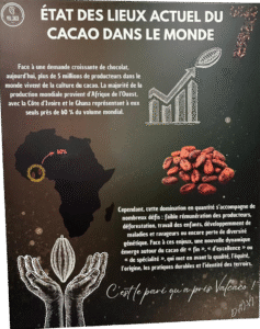 musee-cacao(4)