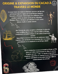 musee-cacao(5)