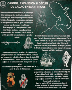musee-cacao(6)